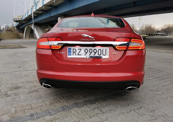 Jaguar XF cena 79900 przebieg: 125000, rok produkcji 2015 z Rzeszów małe 277